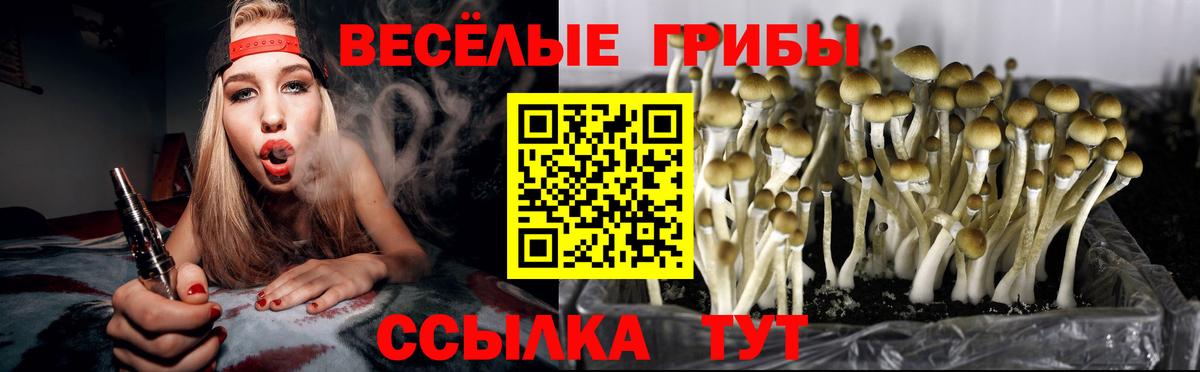 Ирбит  Псилоцибиновые грибы Cubensis  Вход с VPN  Псилоцибиновые грибы MAGIC MUSHROOMS 